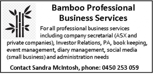Bamboo Professional
