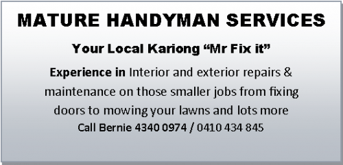 Mature Handyman Services